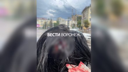 В Воронеже возбудили дело после падения куска фасада с дома на девушку