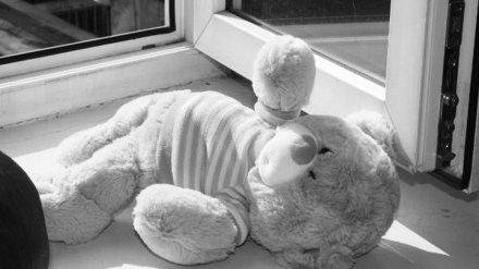 В Воронеже 2-летний малыш умер после падения с 14 этажа