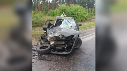 В Воронежской области при лобовом столкновении двух авто пострадали 4 взрослых и ребёнок