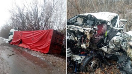 Воронежская полиция показала фото с места смертельного ДТП с двумя грузовиками 