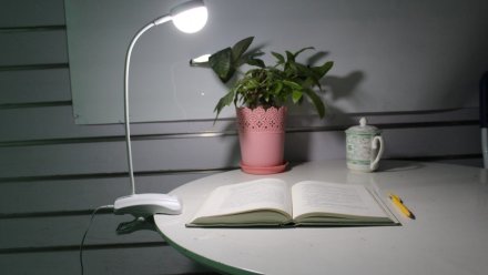 Где отключат свет на неделе в Воронежской области