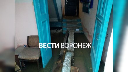 «В квартиры идём до доскам». В Воронеже подъезд жилого дома затопило фекалиями
