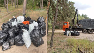 Воронежцы пожаловались на горы мусора в парке «‎Танаис»‎