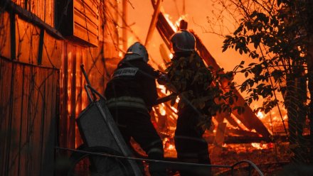 В посёлке под Воронежем сгорели более 20 рыбацких домиков 