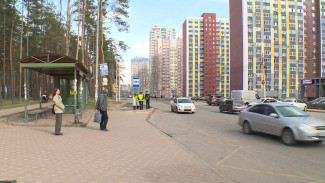 В Воронеже автоинспекторы устроили проверку соблюдения ПДД пешеходами