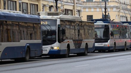 В Воронеже на два дня остановят работу двух троллейбусов