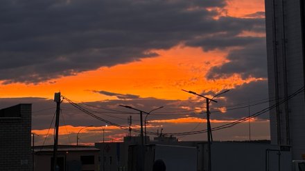 Апрель-2026 в Воронеже стал самым холодным за 19 лет