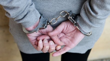 В Воронежской области продлили арест женщине, обвиняемой в убийстве 2-месячной дочки