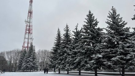 В Воронеже за сутки выпало 11 см снега