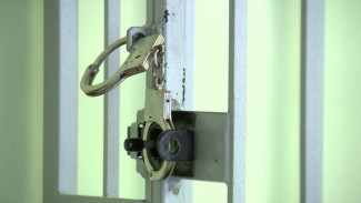В Воронеже преподавателя университета осудили за взятку в 12 тыс. рублей