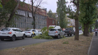 В Воронеже упавшие из-за урагана деревья повредили семь автомобилей