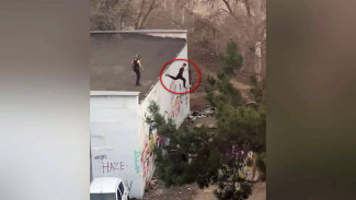 Дети устроили прыжки с крыши у воронежской школы: появилось видео