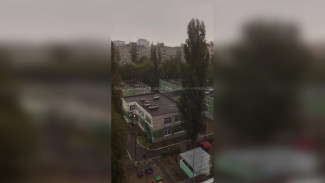 Первый снег в Воронеже сняли на видео