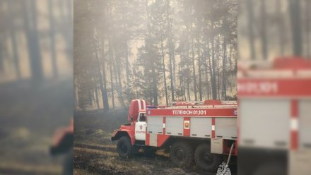 Авиацию привлекли к тушению пожара в Воронежском биосферном заповеднике