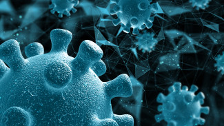 Гонконгский грипп дошёл до Воронежской области