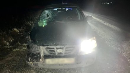 44-летний мужчина погиб под колёсами Kia на воронежской трассе
