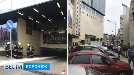 МЧС сообщило подробности пожара на парковке воронежской «Галереи Чижова»