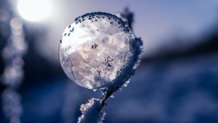 В Воронежской области ожидают 17-градусные морозы