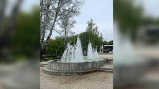 В воронежском Центральном парке запустили фонтан