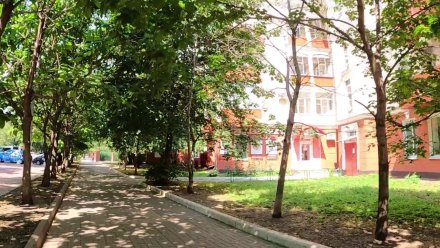 В Воронеже обновят уникальную центральную улицу