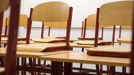 В воронежских школах 116 классов закрыли на карантин