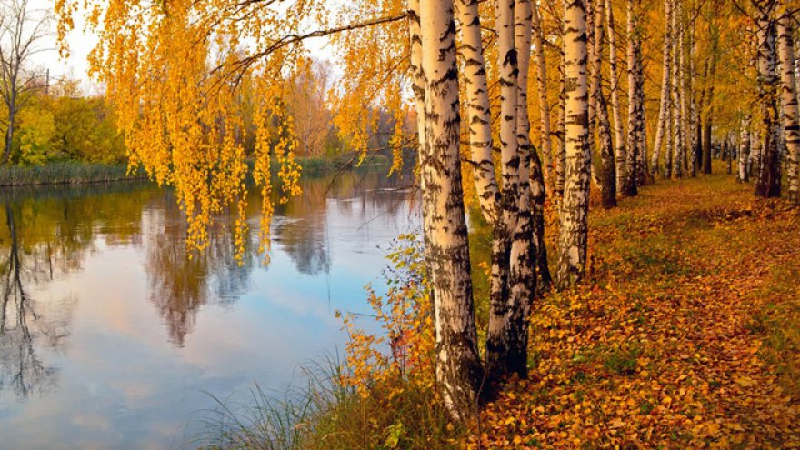 Прогноз погоды на 21 – 22.09.19
