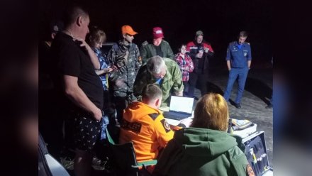 Волонтёры рассказали о поисках пропавших под Воронежем дяди и 10-летнего племянника
