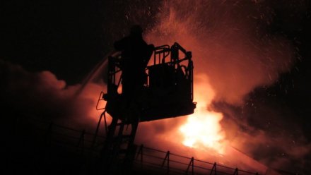 В Воронеже при пожаре пострадала пенсионерка
