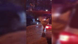 Женщина с ножом угрожала родителям учеников школы №101 в Воронеже