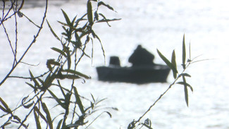 Концентрация солярки в воронежском Дону оказалась превышена в 38 раз