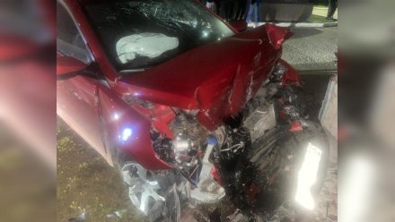 Компания молодёжи разбилась на Hyundai Solaris в Воронежской области