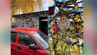 В Воронеже пожилой байкер украсил дом бесчисленным количеством игрушек