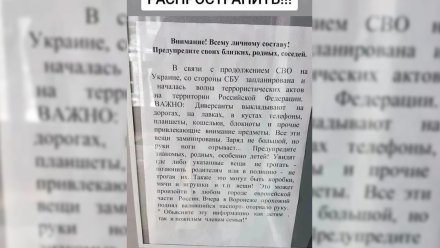 Украинцы распространили фейк о заминированных предметах на дорогах в Воронеже