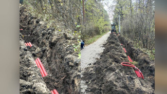 Трактор обрубил корни кустарников в воронежском «Танаисе»
