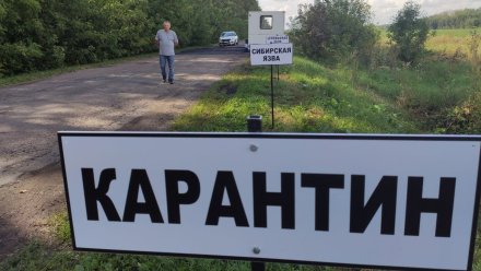В Воронежской области обнаружили ещё два очага сибирской язвы