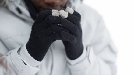 Женатого на жительнице Воронежа африканца лишили вида на жительство за тунеядство