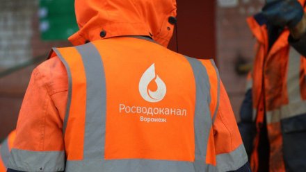 Дома на трёх улицах Железнодорожного района Воронежа останутся без воды