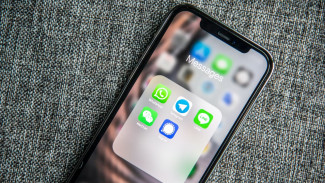 Воронежца задержали после интимного видеозвонка 9-летней девочке в Telegram
