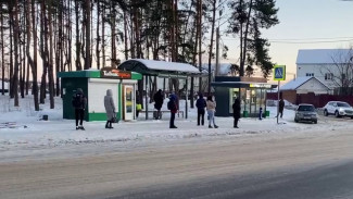 «Люди хуже». Жители Борового в Воронеже заступились за живущих в будках собак