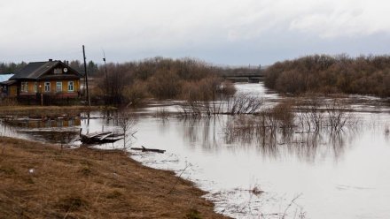 В Воронежской области из-за паводка затопило три моста