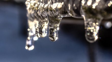 Синоптики дали прогноз на первую рабочую неделю весны в Воронежской области