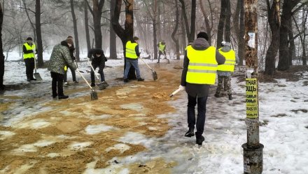 Мэр Воронежа доложил, как прошёл внеплановый зимний субботник