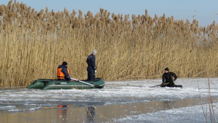 Спасатели призвали воронежцев не выходить на тонкий лёд  
