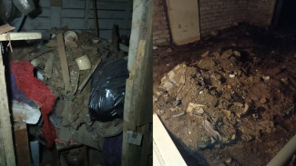 Воронежская УК спустя месяц пообещала разобрать заваленный хламом подвал детского сада