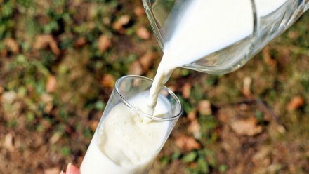 Воронежская область стала лидером по производству молока в ЦФО
