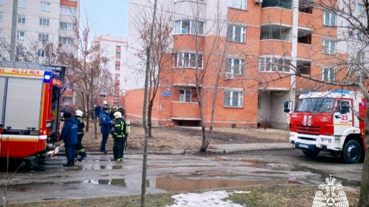 8 детей и 10 взрослых эвакуировали из горящей многоэтажки в Воронеже –  Новости Воронежа и Воронежской области – Вести Воронеж