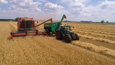 В Воронежской области вскрылись проблемы с доступностью горючего для аграриев