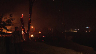 Уничтоживший 21 жилой дом лесной пожар в воронежском селе привёл к делу о халатности