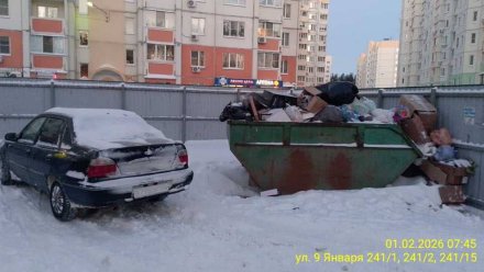 В Воронеже возобновили вывоз мусора после двухдневного снегопада