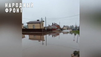 Жители воронежского микрорайона пожаловалась на 100-метровую лужу